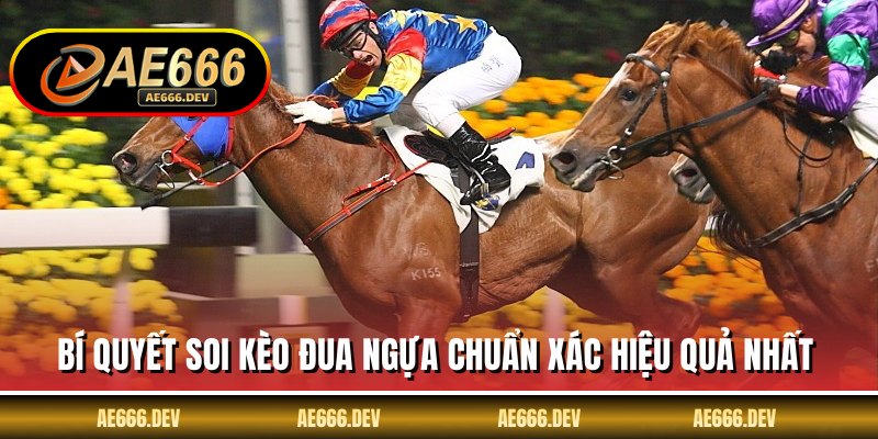 Bí quyết soi kèo đua ngựa chuẩn xác hiệu quả nhất