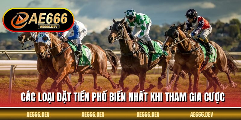 Các loại đặt tiền phổ biến nhất khi tham gia cược