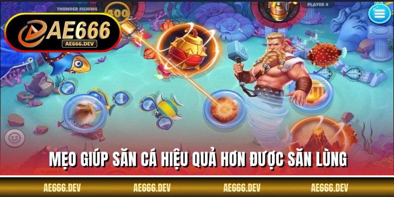 Mẹo giúp săn cá hiệu quả hơn được săn lùng