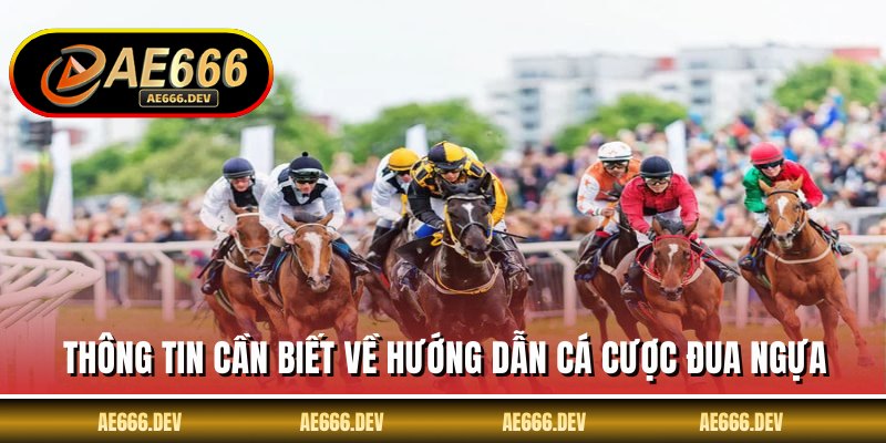Thông tin cần biết về hướng dẫn cá cược đua ngựa