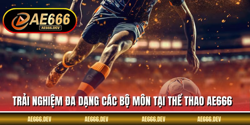 Trải nghiệm đa dạng các bộ môn tại thể thao AE666
